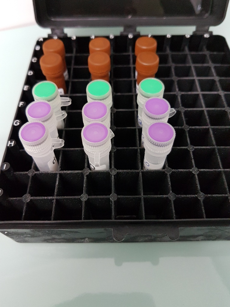 Lyophilized Mastermix for RT-PCR 20ul/test, 192rcs_image