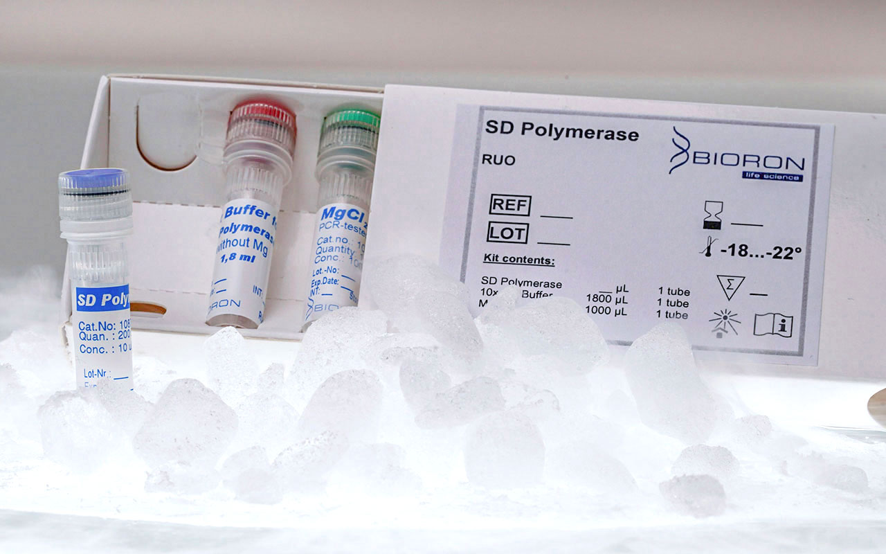 SD polymerase, 50U/ul, 5000un