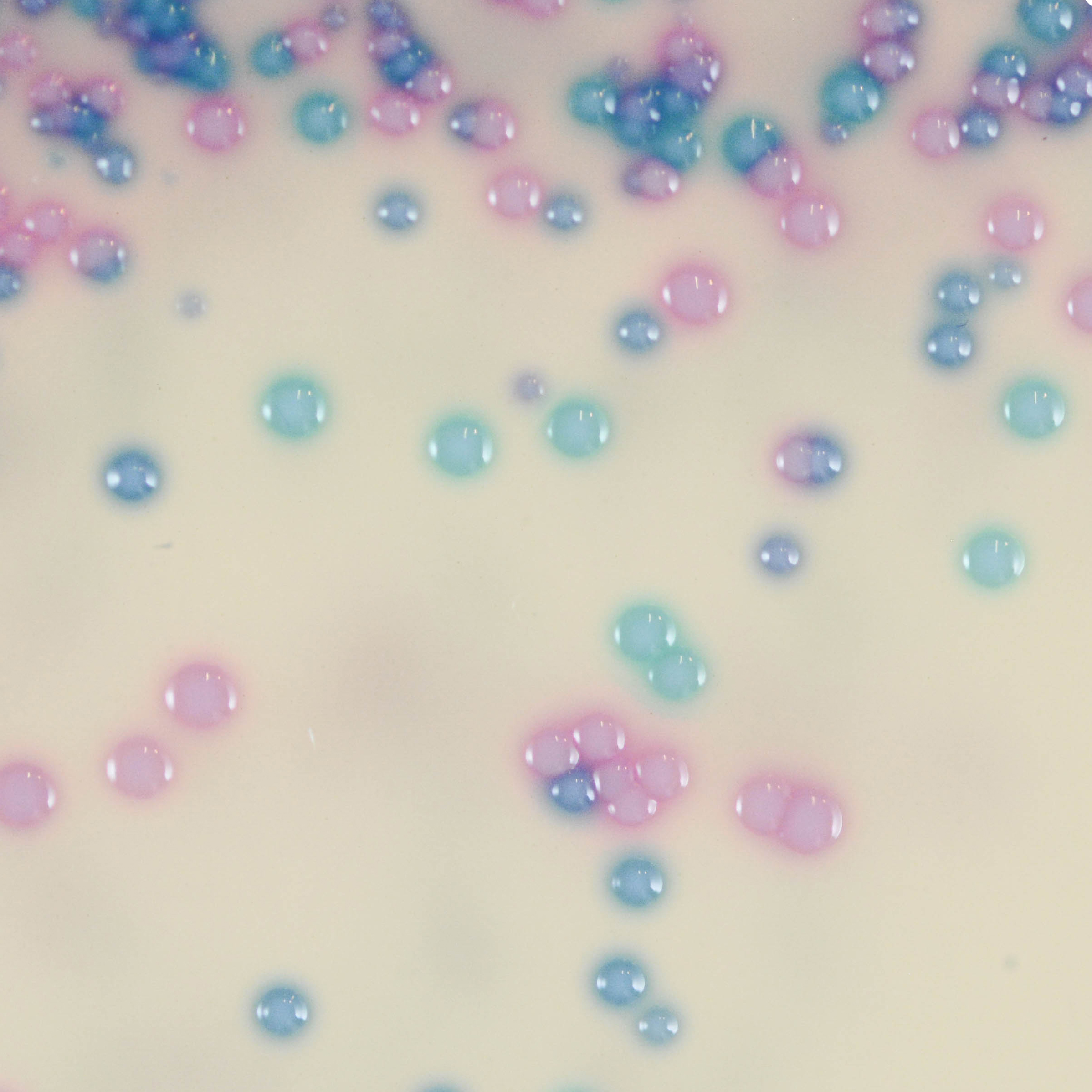CHROMagar Streptococcus, 5000ml_image
