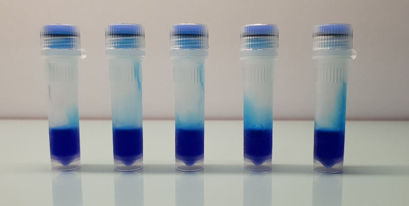 Maximo Blue-Taq DNA Polymerase, 500un_image